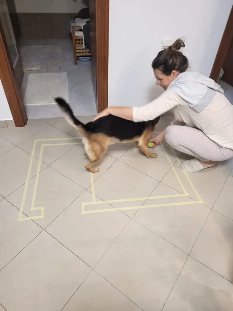 Pôdorys budúcej búde z nalepenej pásky na podlahe